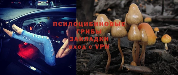 сатива Навашино