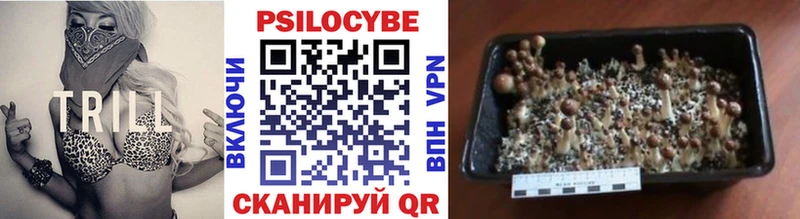 Галлюциногенные грибы мухоморы  закладка  сайты даркнета как зайти  Североуральск 